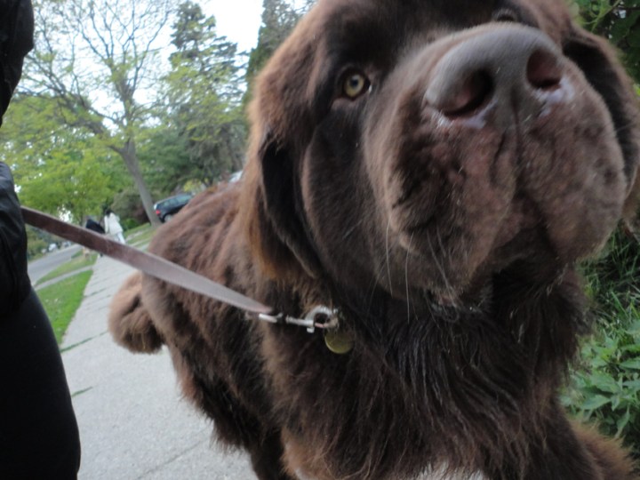 Lake Prom passing M and E