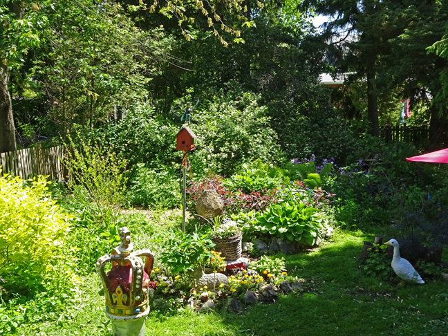 DSC00142