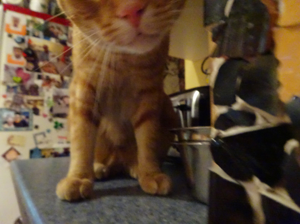 JackShadbolt Aug 6 2015