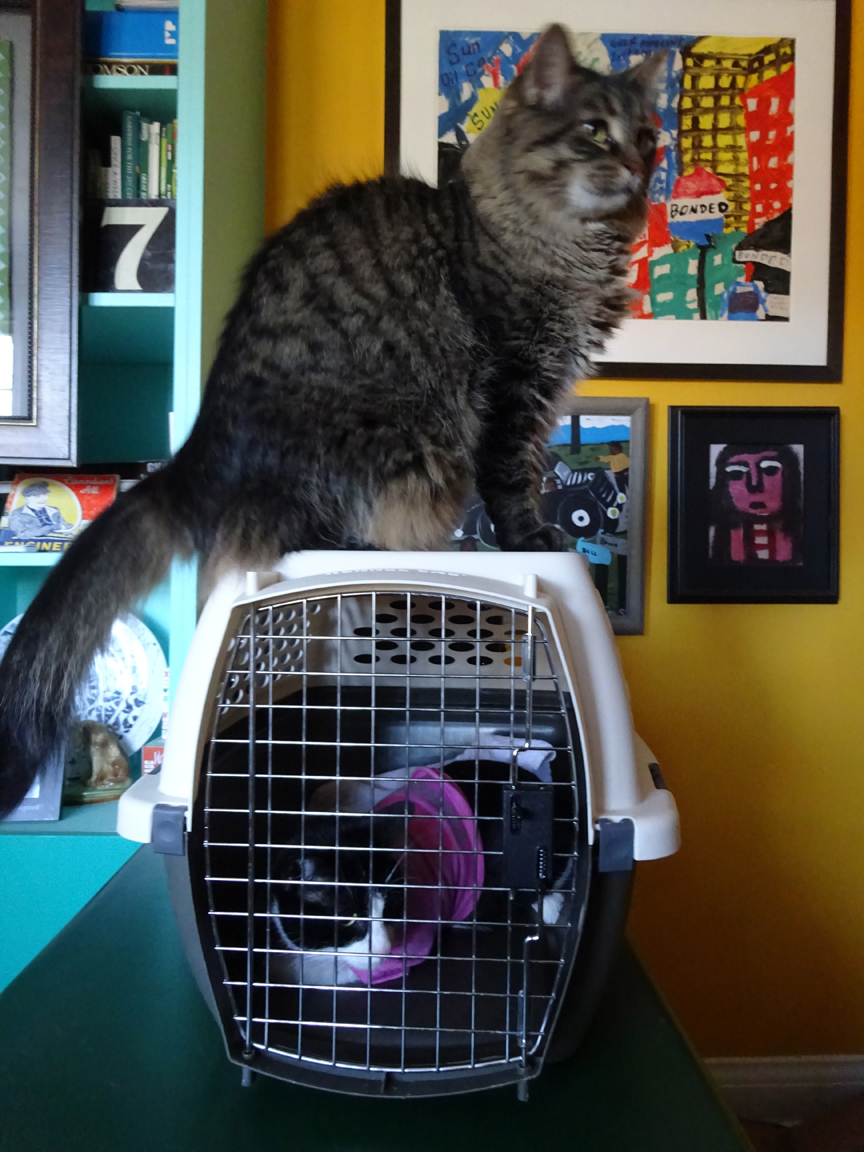 Lady's first day.jpg