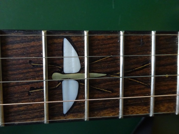 mayfly inlay.jpg