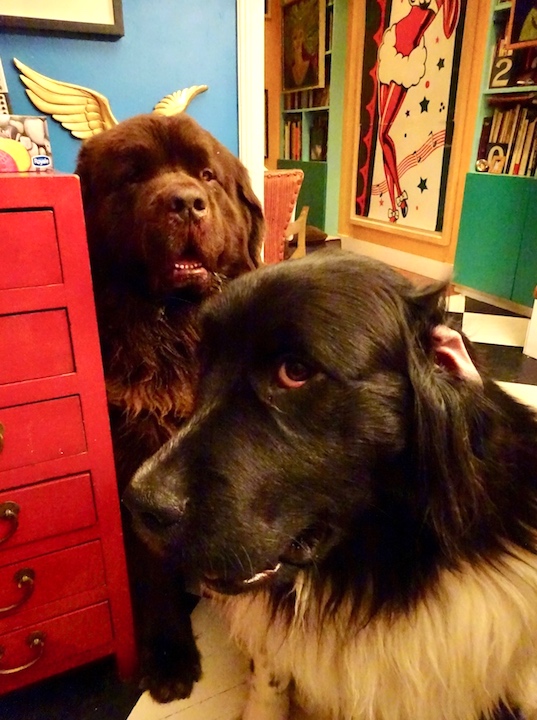 George and Ruby Feb 2018.jpg