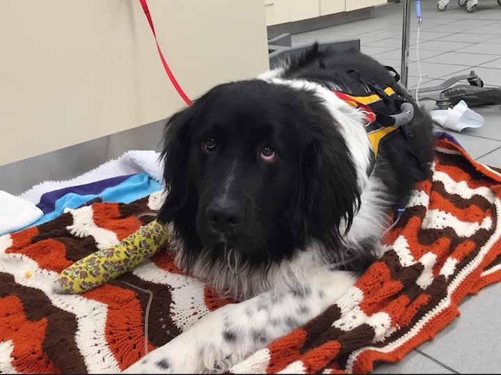 Screen Shot 2018-03-06 at 10.07.53 PM.jpg