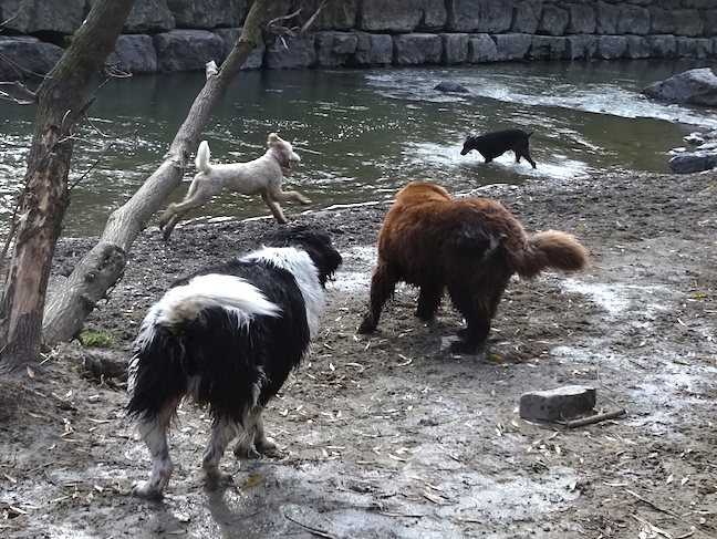 DSC08885.jpg